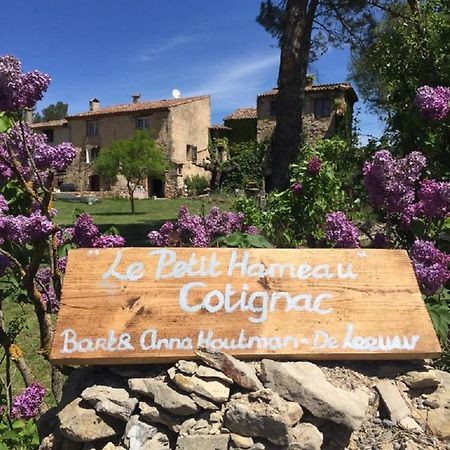 Domaine Le Petit Hameau Cotignac Exterior foto