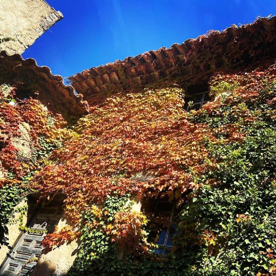 Domaine Le Petit Hameau Cotignac Exterior foto